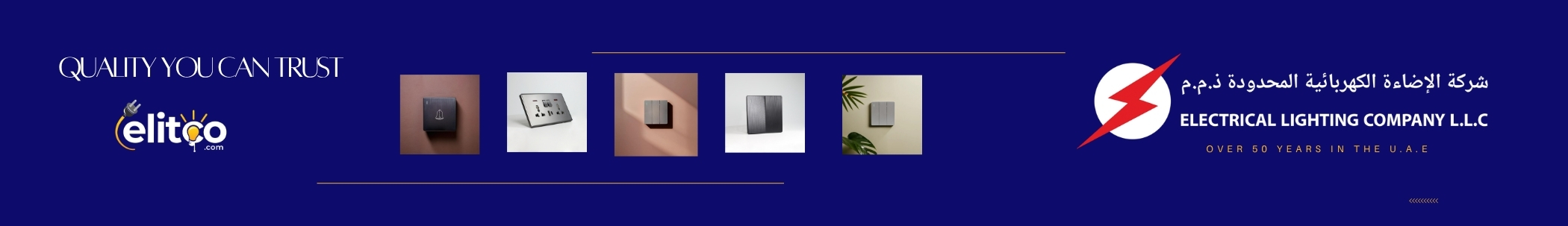 Elitco switches