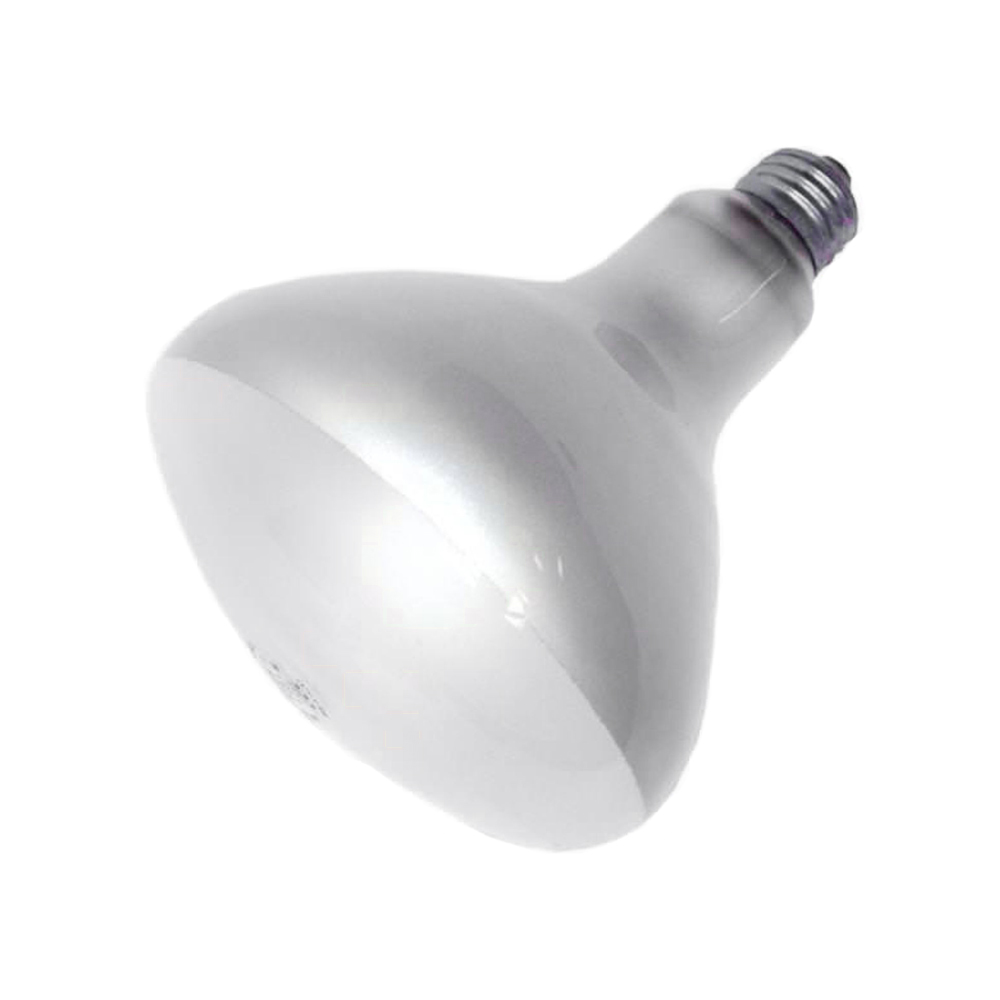 General Electric GE-Reflector Flood